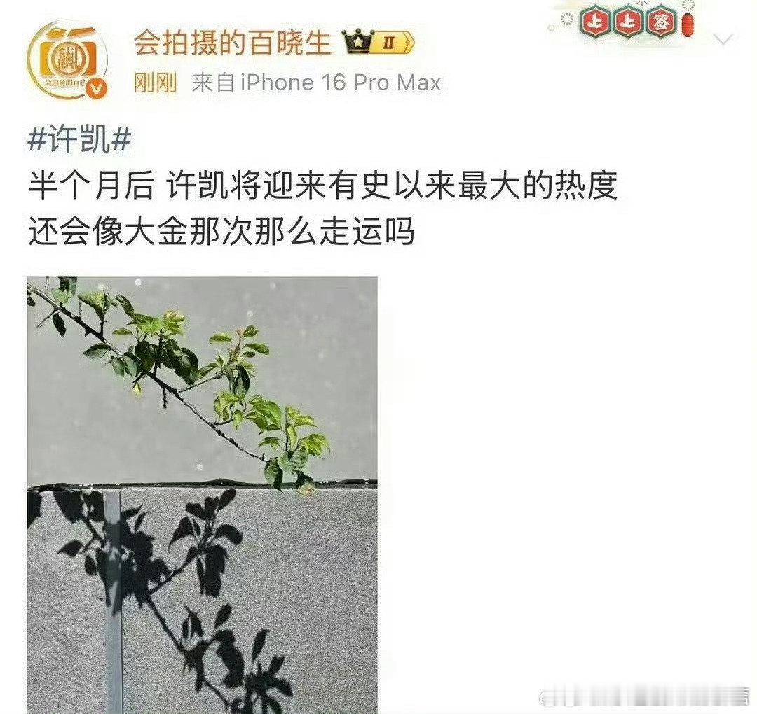 许凯半个月后有大瓜狗仔预告许凯半个月后将迎来大热度这要如何应对许荔莎曝许凯嘴过的