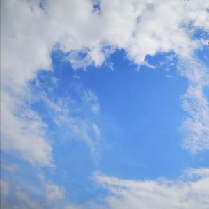 阳光空气与你