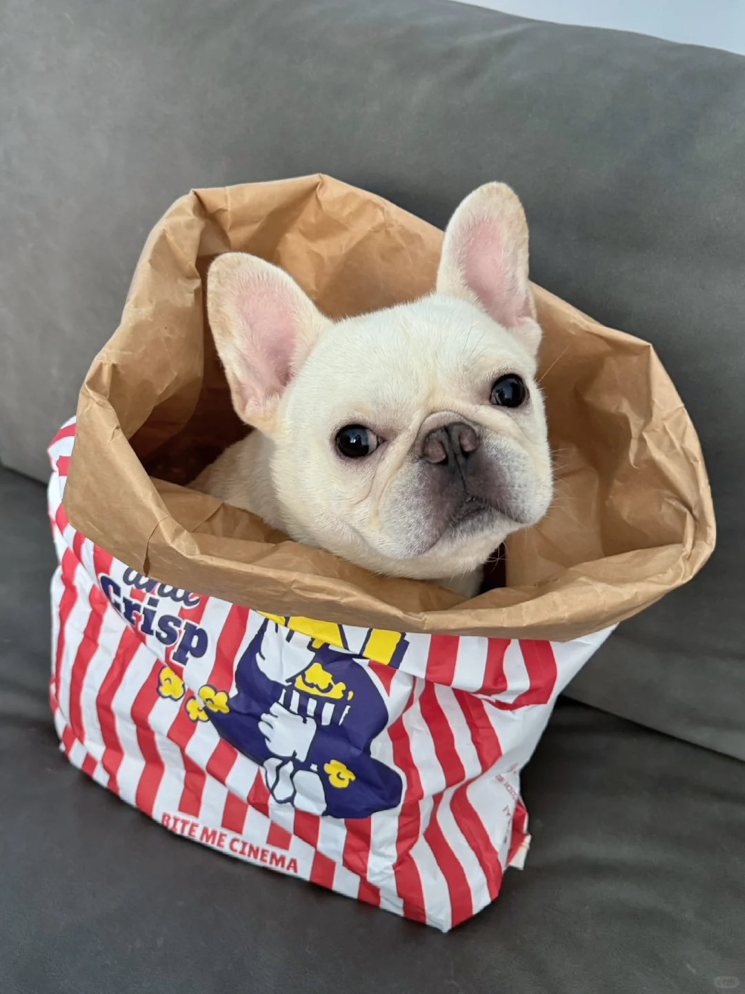 麻袋已准备好，速来自提