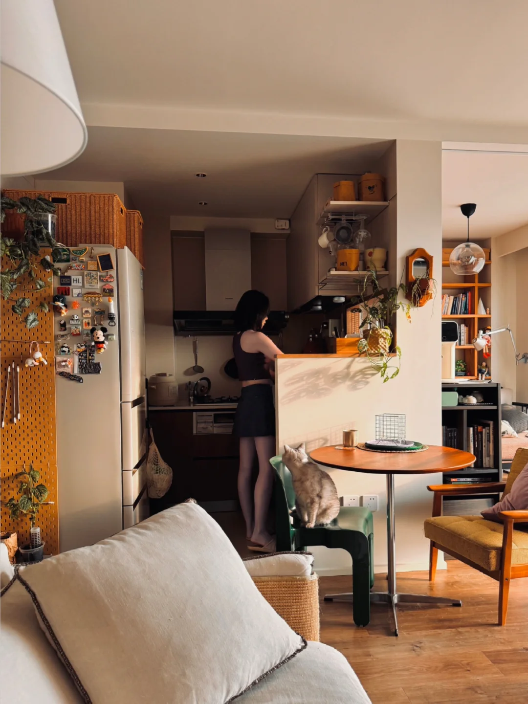 56平一人居｜我该如何向你描述这种生活