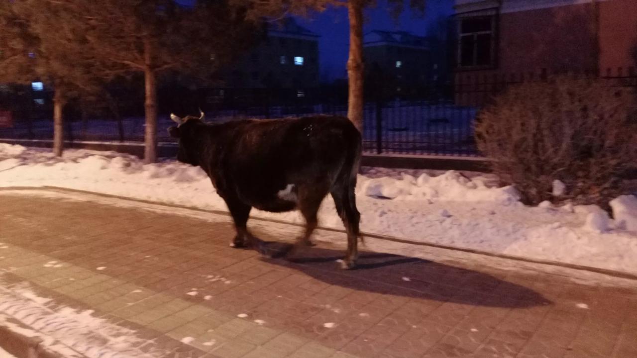 分享一张你最近随手拍的照片吧新疆兵团第十师北屯市一八七团