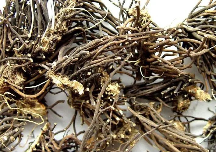 用5味药的方子消掉患者肠息肉，几味中药不做手术，却胜似手术！

不管是胆囊息肉、