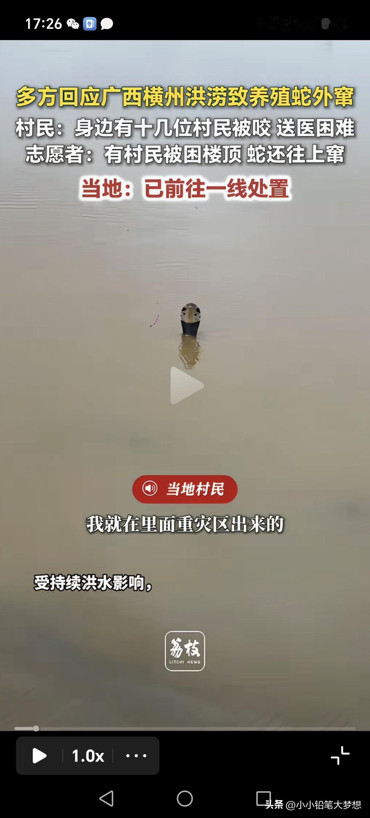 心都揪紧了，广西横州洪水蛇场的蛇跑出来了，一个从重灾区撤离的知情人士说：“被咬伤