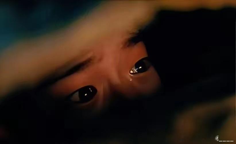 《藏海传》永远相信这部剧的反派，想当初看到稚奴把妹妹藏在草垛子，观众就觉得不安全