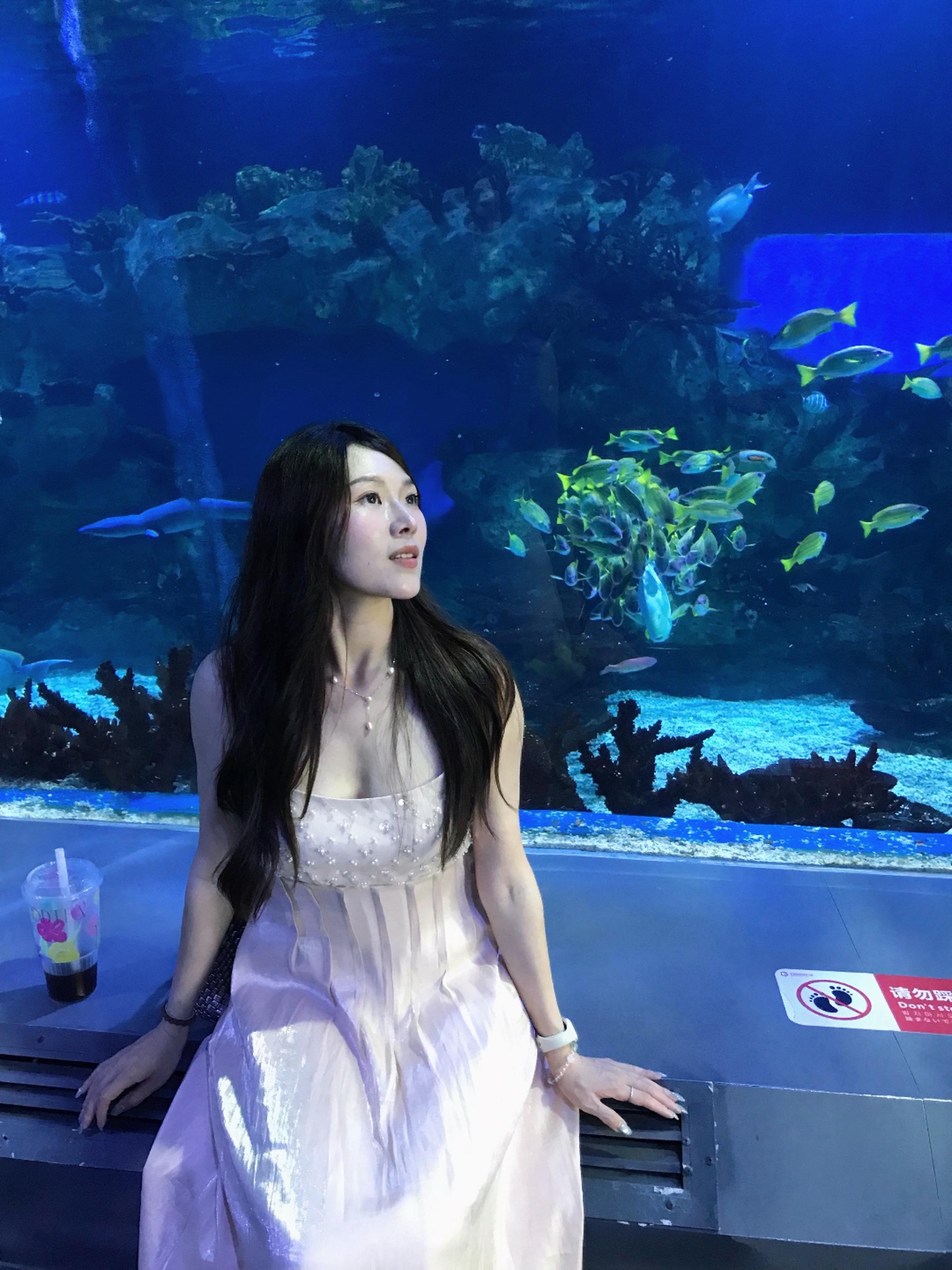 需要你 我是一只鱼