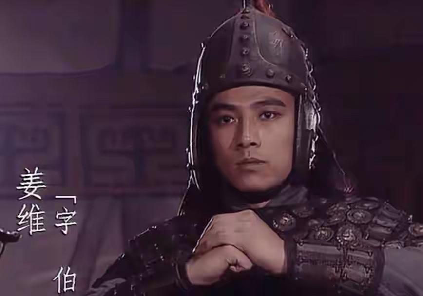 怎样评价姜维“敛兵聚谷”的战略?

没法评价，这就是自杀式防御。

汉中之所以是