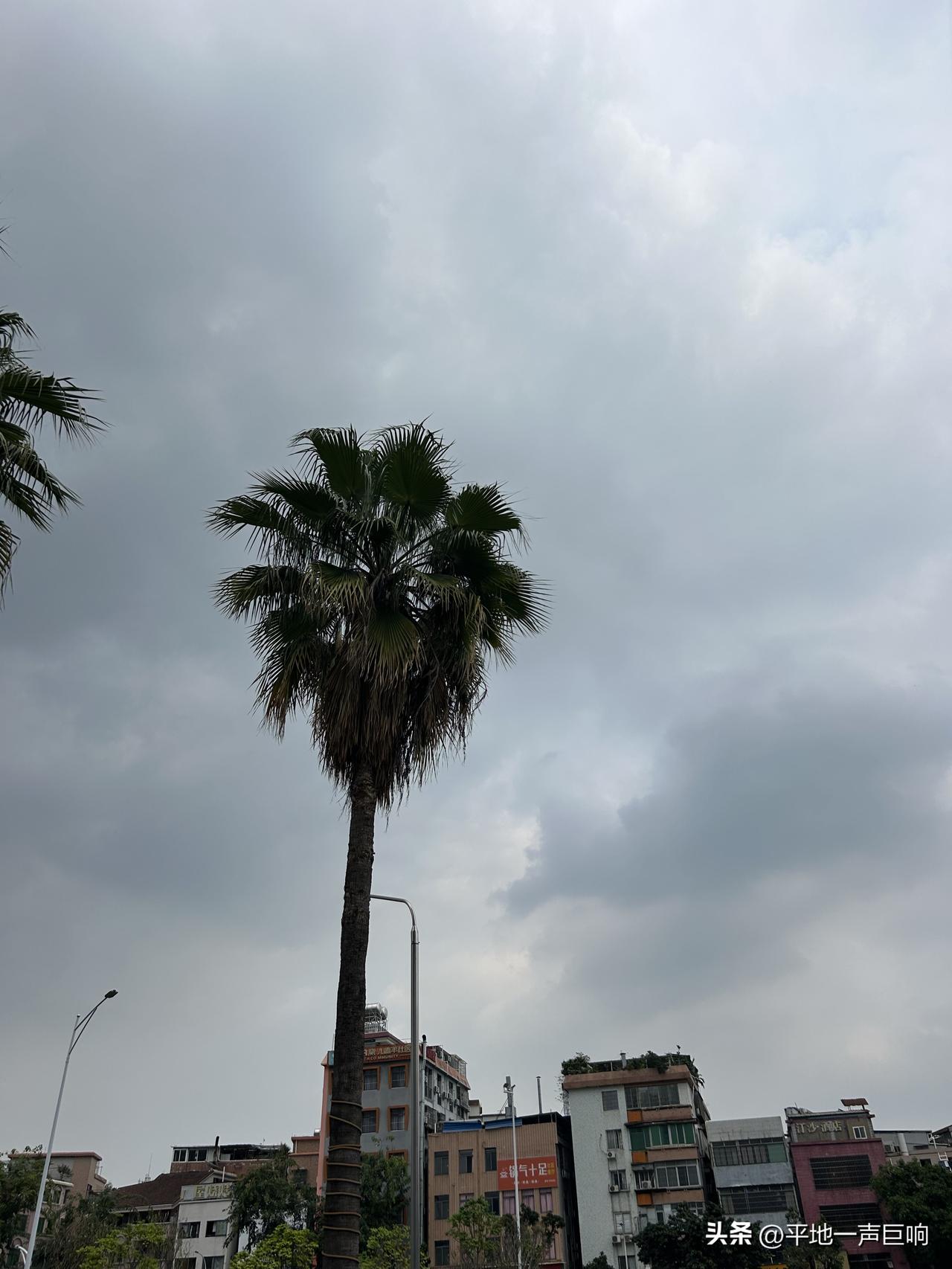 现在的人活的是越来越清醒了，

随着一些名人的突然离去，他们的离去给普通人一个很