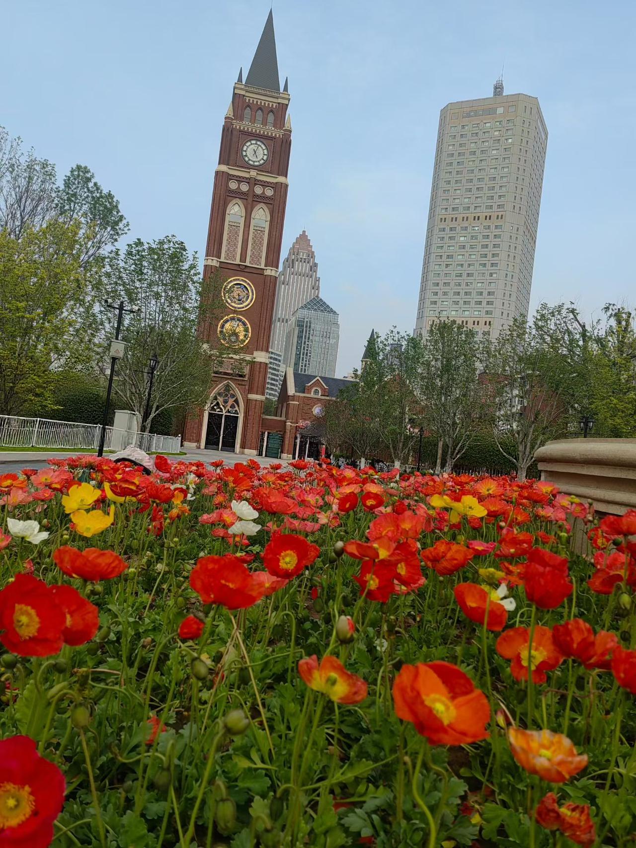 天津五大道公园的美景，公园里的海棠花谢了，玉兰花也将要谢了，可这些花又次第开放，
