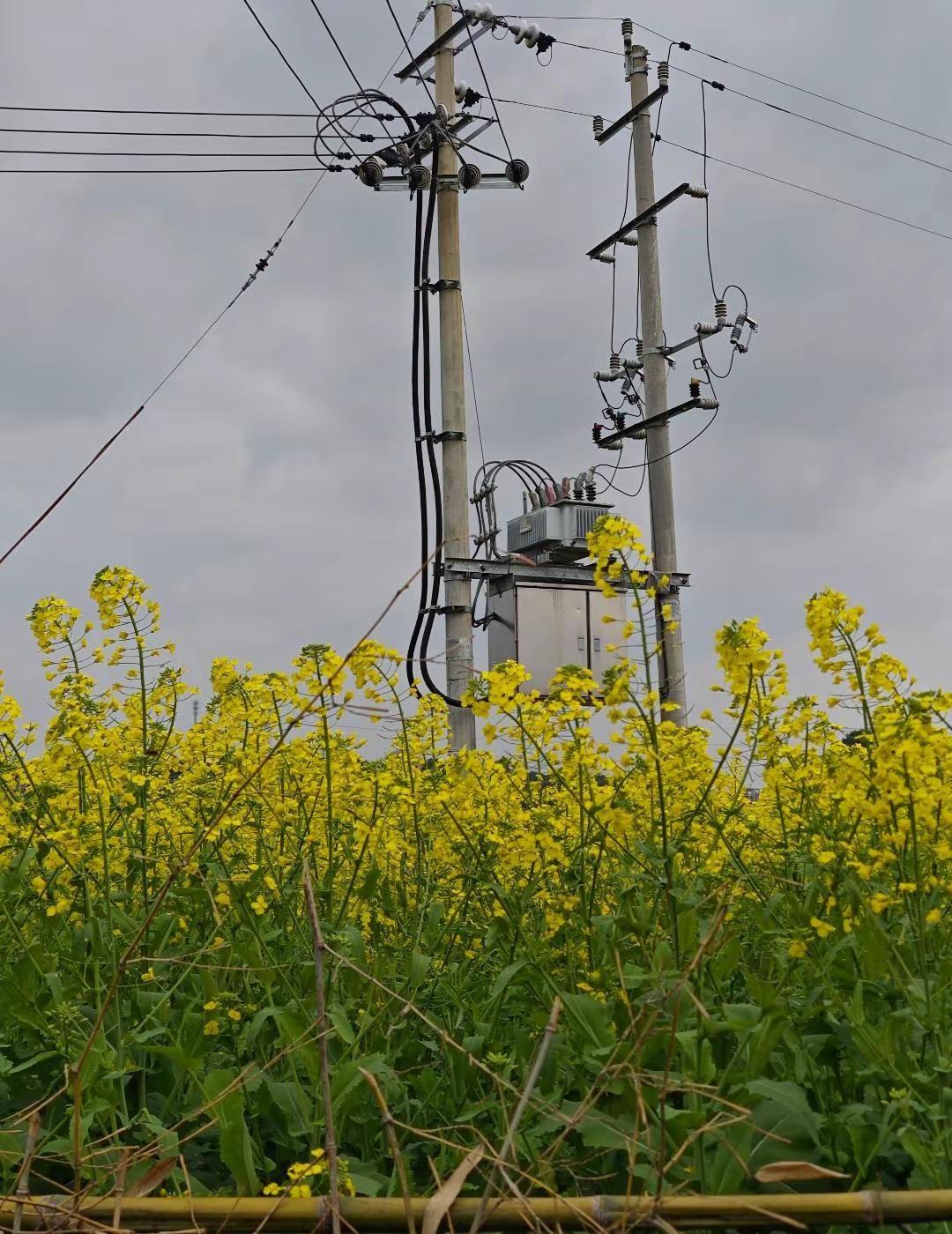 地球online提醒您，请勿在npc身上浪费太多时间，避免影响玩家自身情绪祝各位