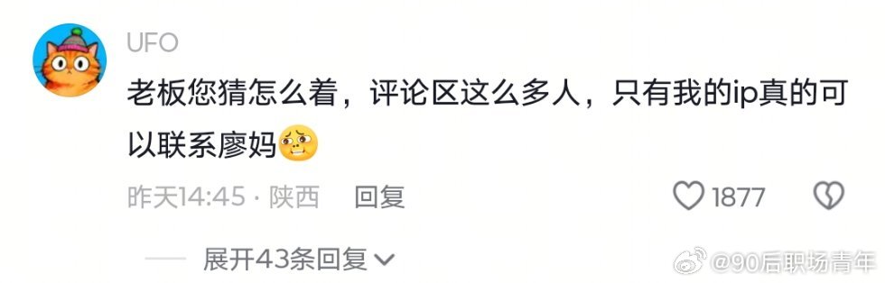 这才是真正的boss直聘生活笑料撞满怀我的幽默灵感片场