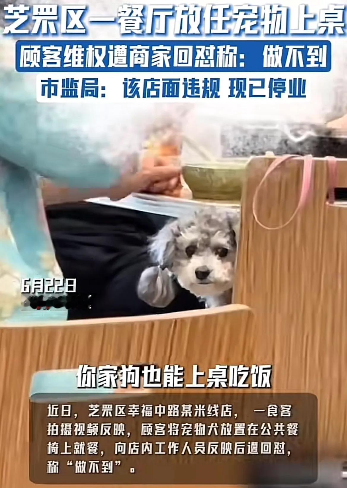 早知如此，何必当初！烟台让狗上桌的米线店公开道歉了，停业整顿，店门上也明确张贴了