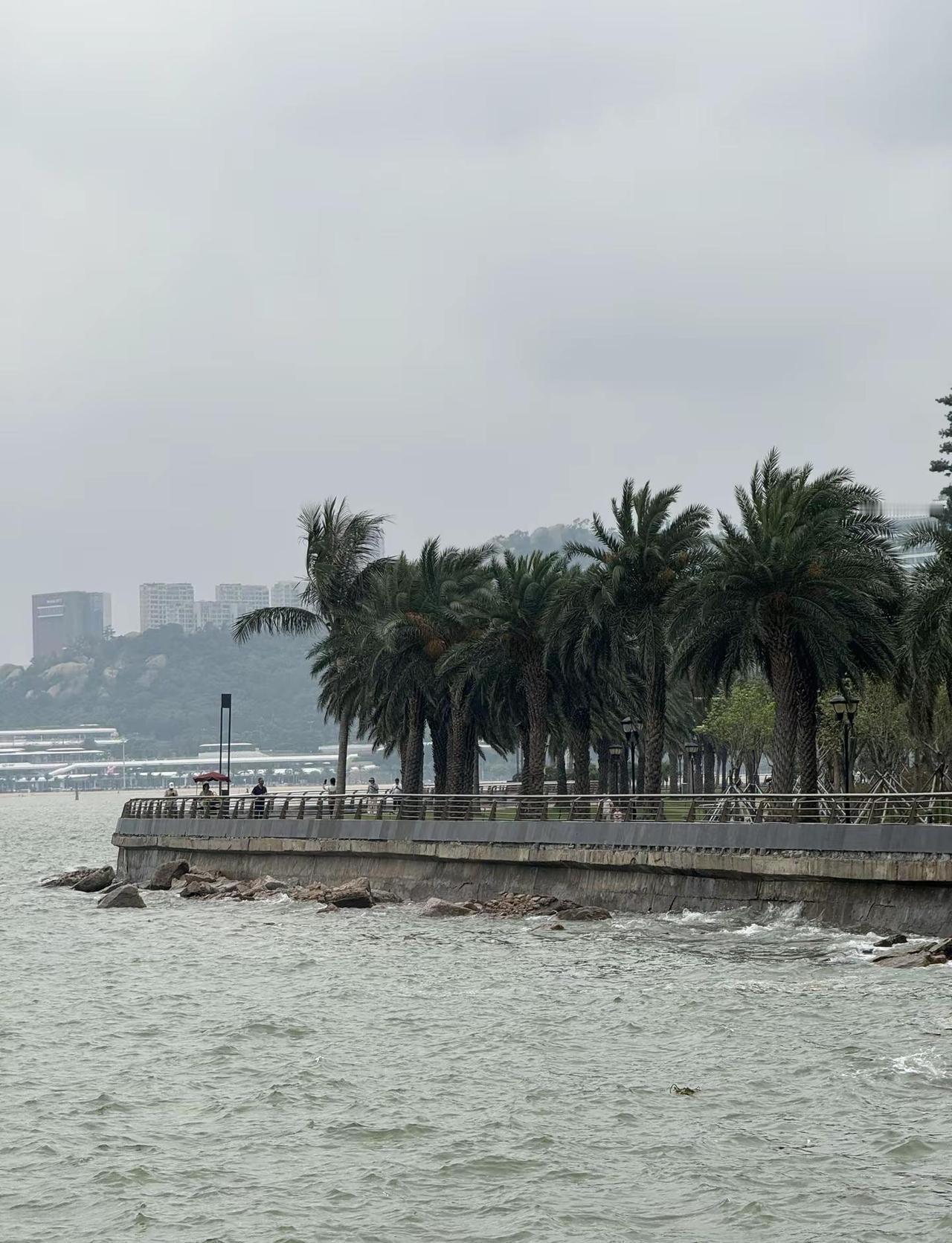 今天珠海天气多云。真实生活分享计划 去看海