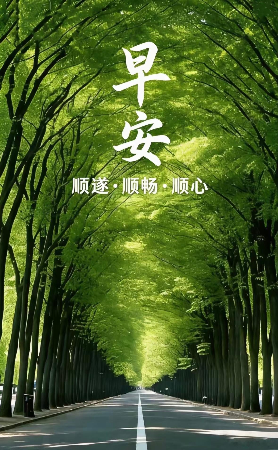 每日一善  上午好 