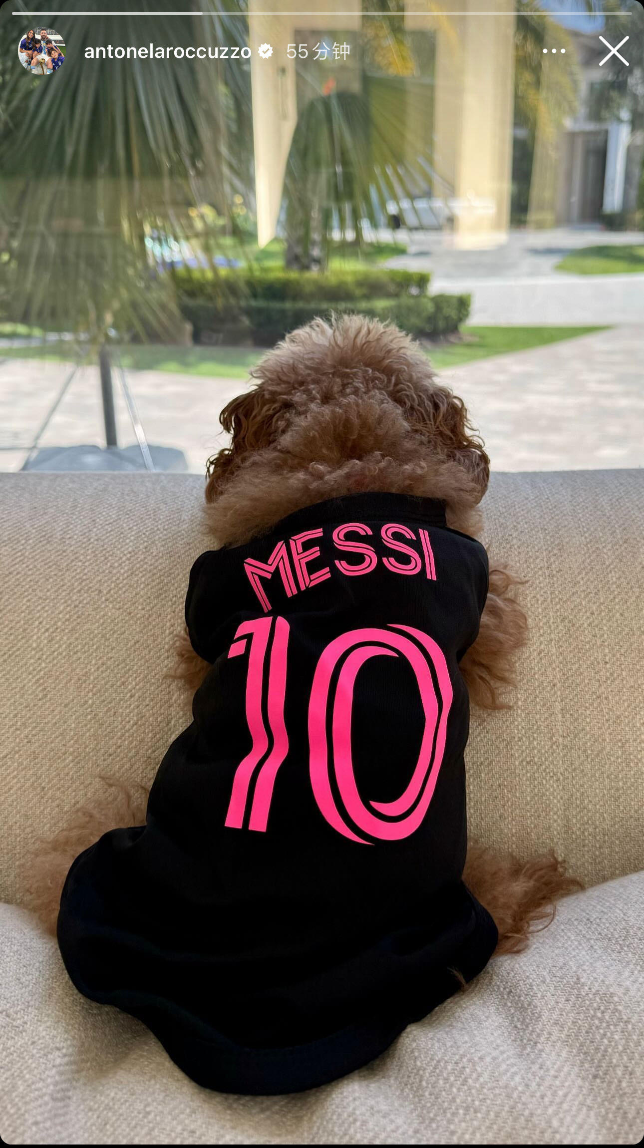 安妞最新Ins Story[doge]#梅西[超话]# ​​​