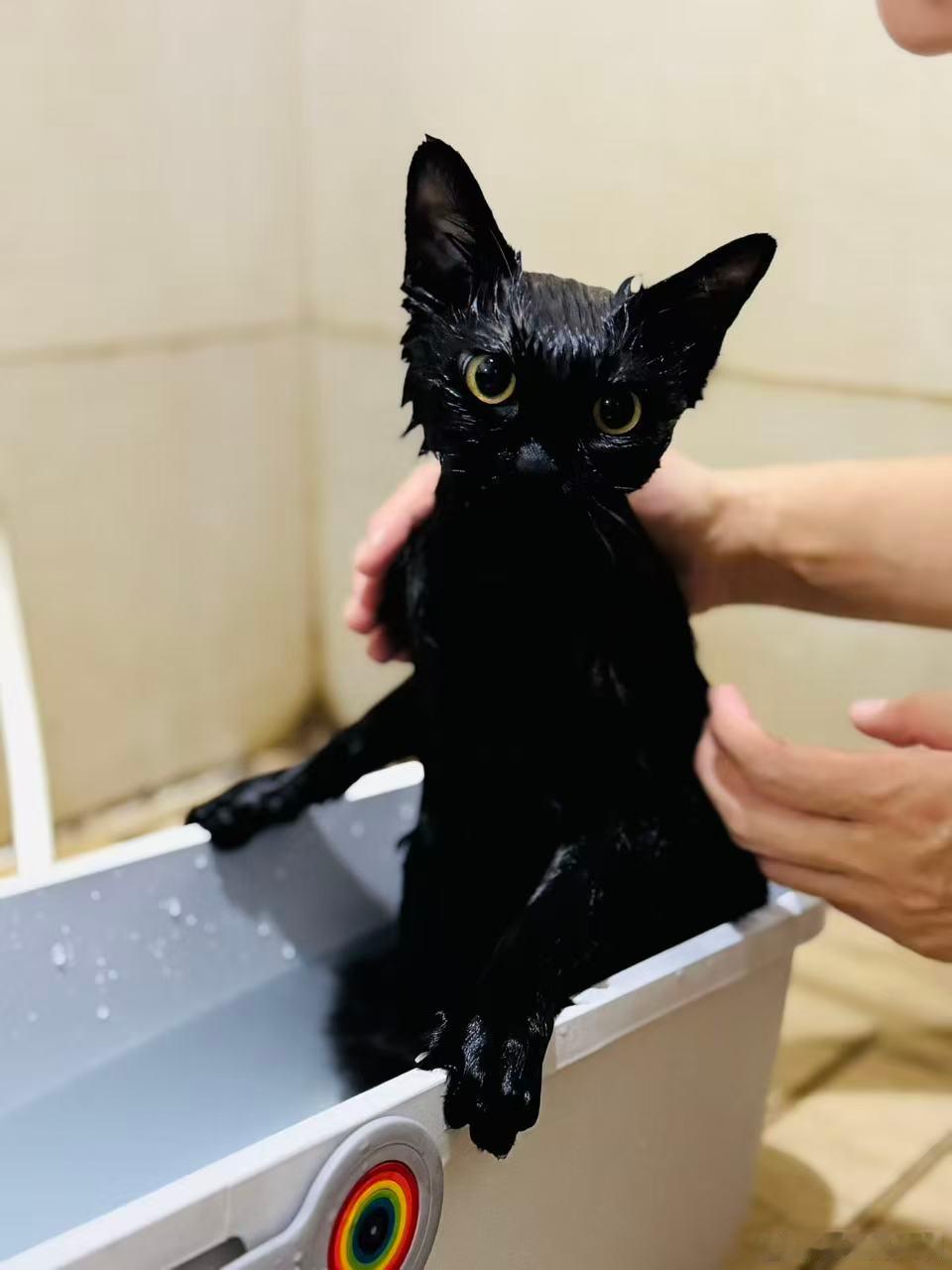 热闹是弱者共同的埋骨地，孤独是强者自己的修罗场。 