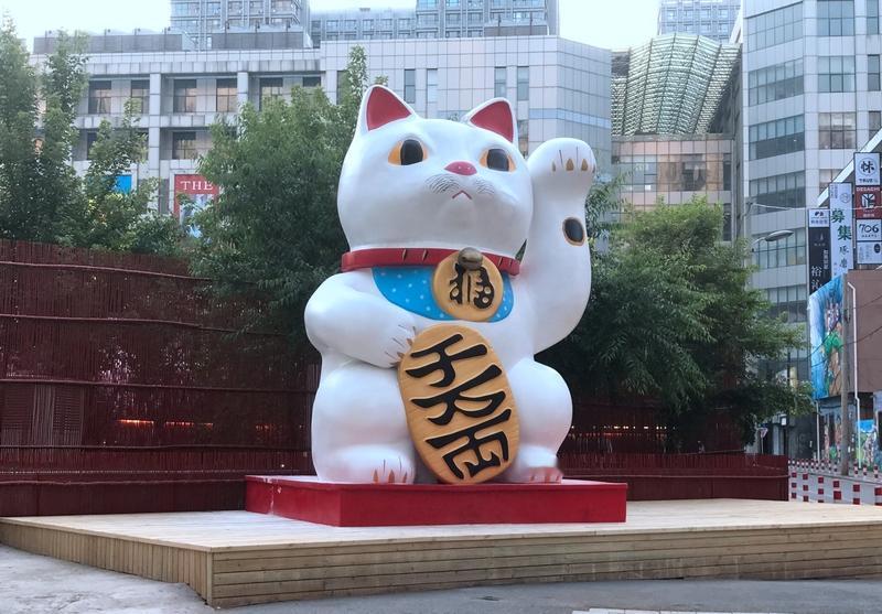 这就是所谓的“招财猫”吗
近日，四川成都陈女士拜财神后家中频现零钱，原是其橘猫“