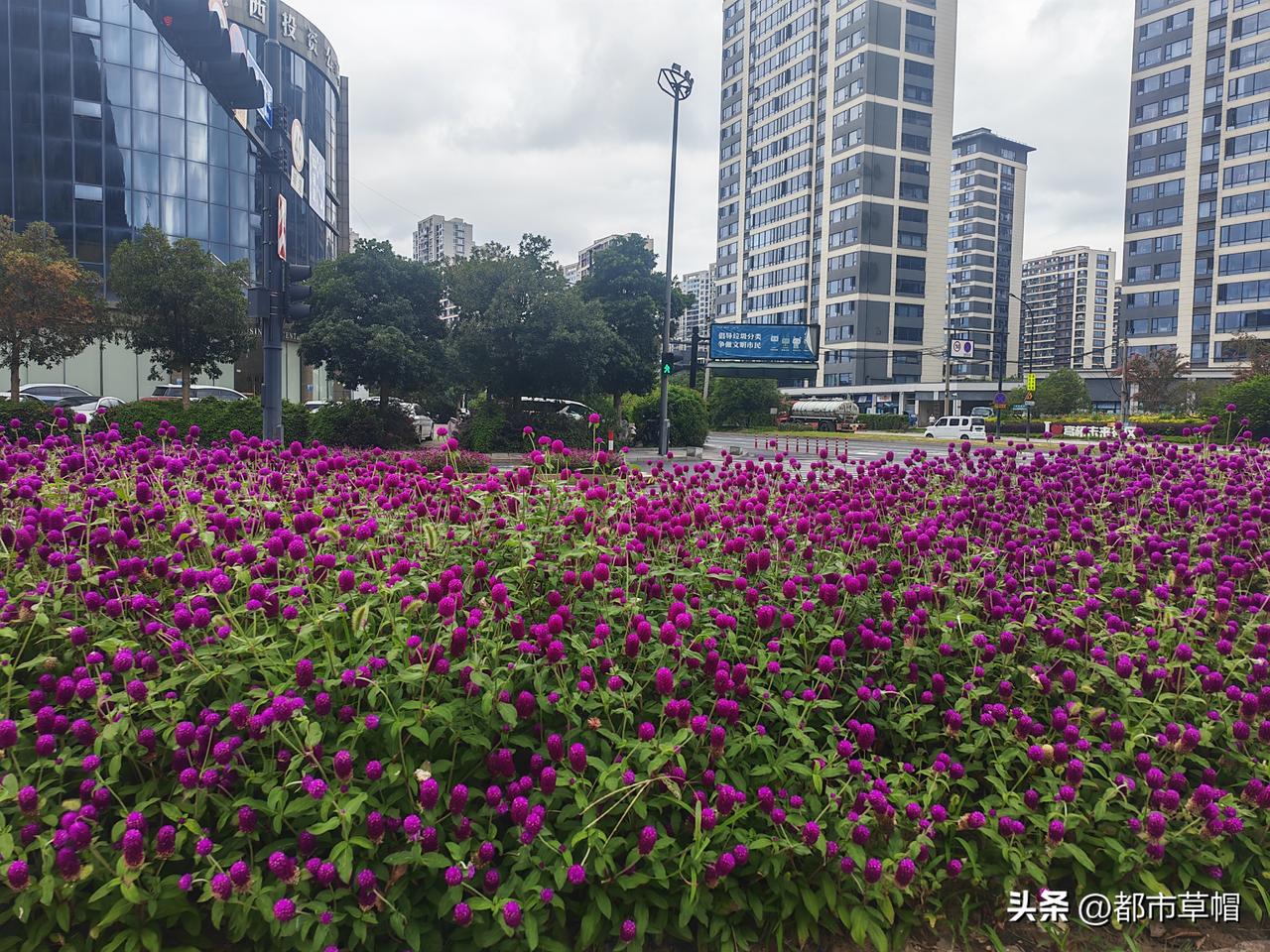 老家的朋友带一个女人来杭州玩，他的老婆是你的同学，也是朋友，你会招待这个朋友吗？