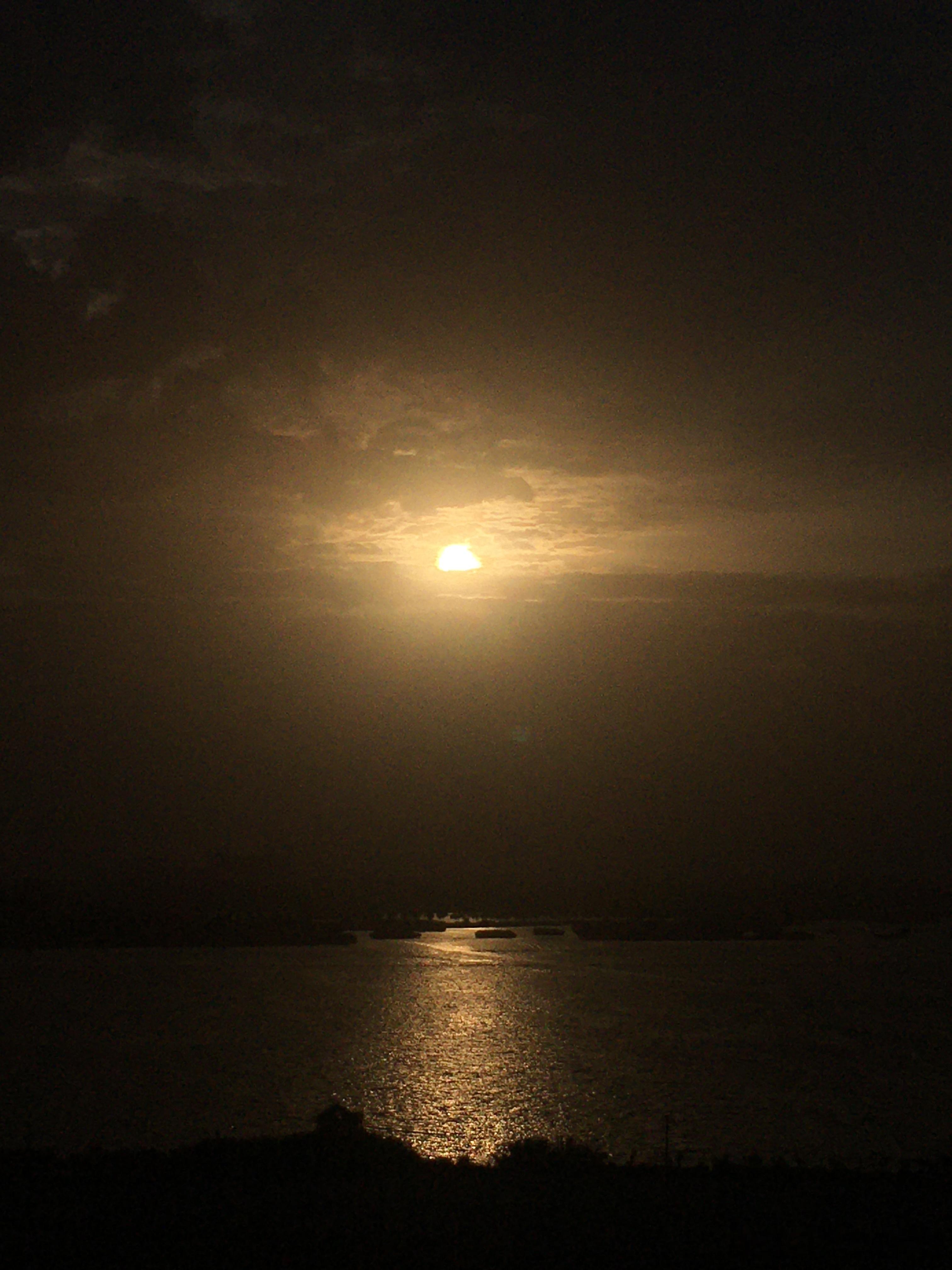 第五人格[超话]  大家推理之径走到哪里了 