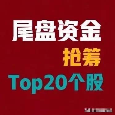 8月5日｜A股尾盘30分钟资金抢筹前20个股：1. 工业富联｜尾盘净流入12.6