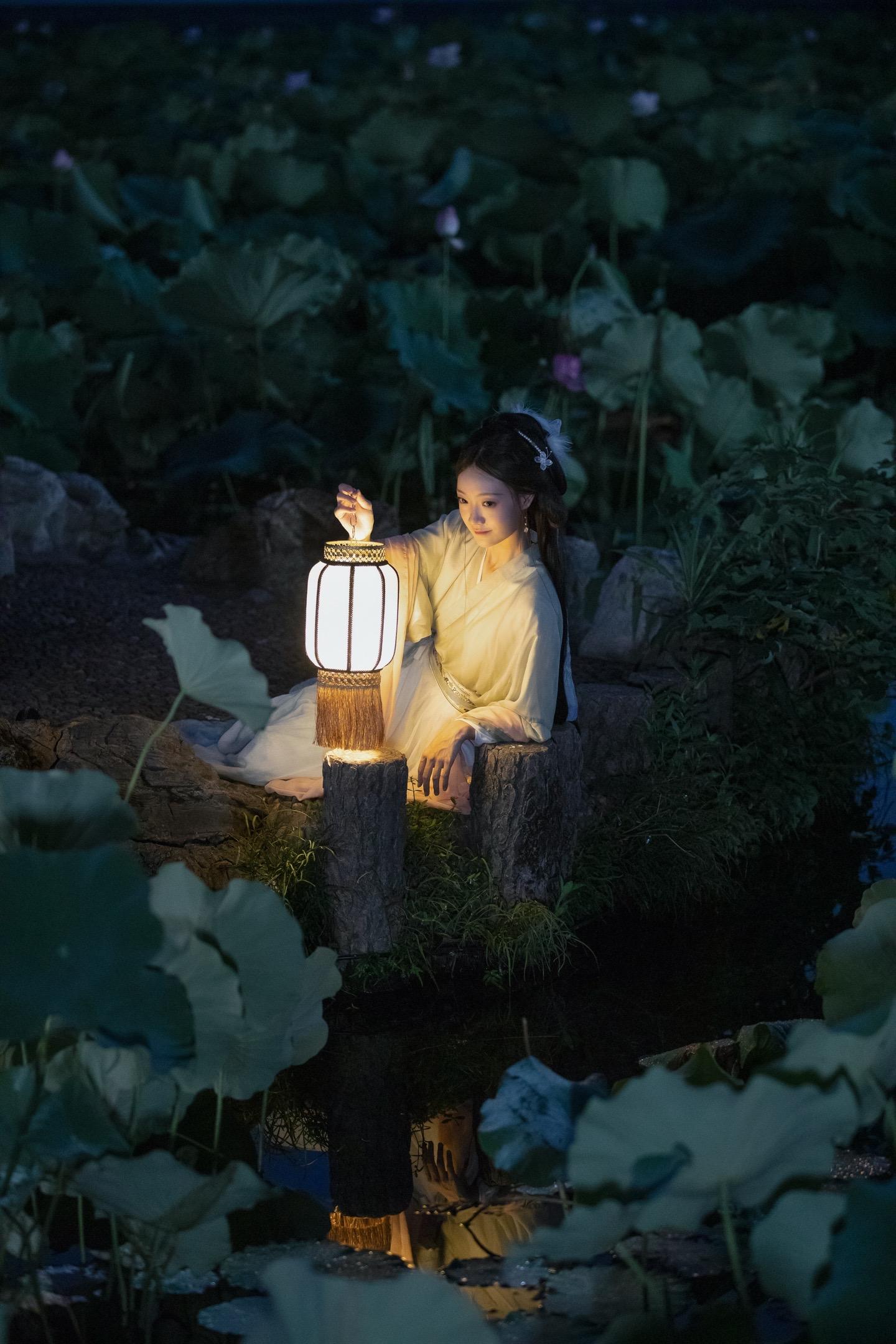 沉醉在这朦胧夜色中之荷塘～