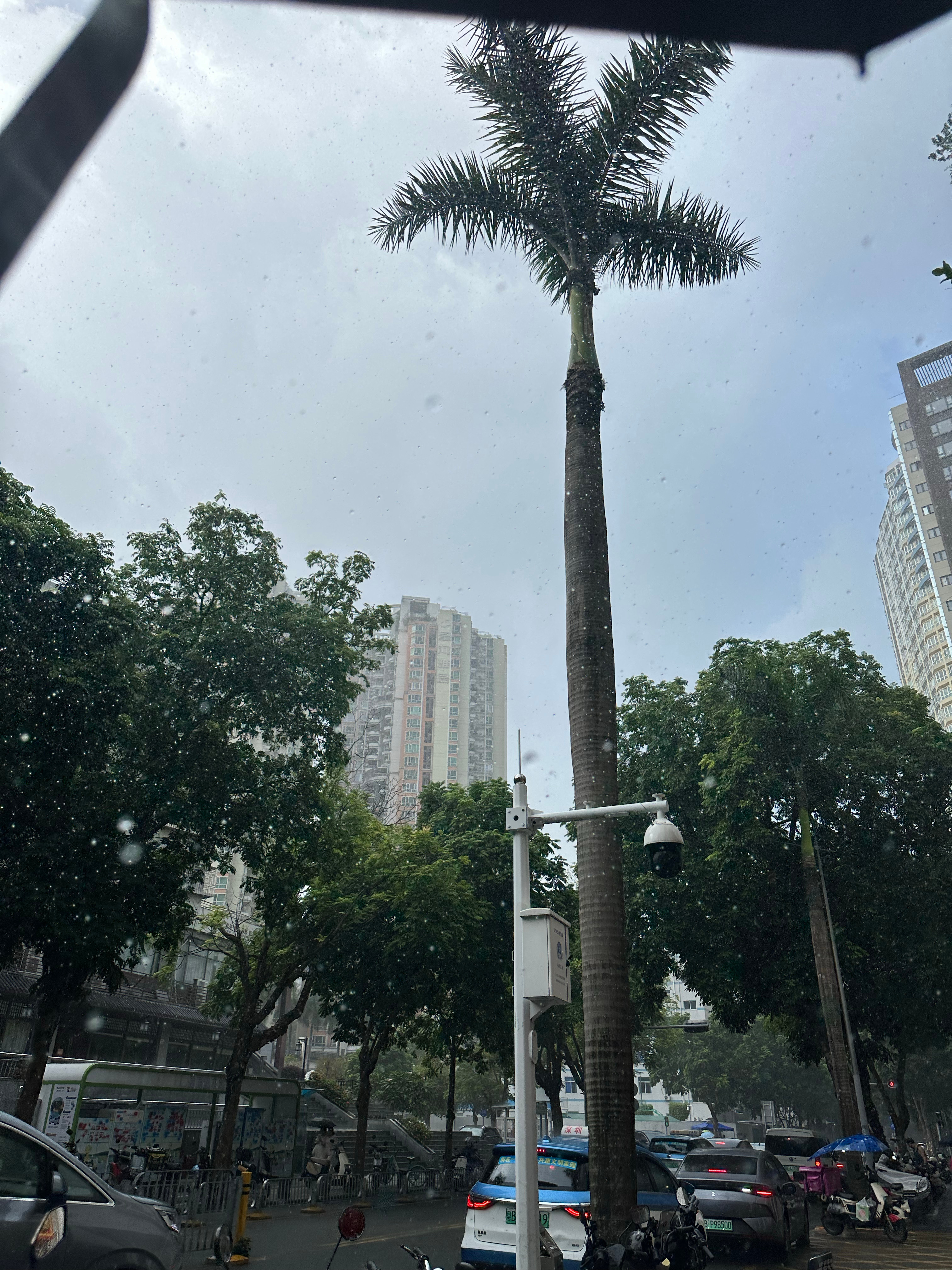 这台风天可真有意思一早就大太阳要烤熟人送小朋友上学后转头毫无预警的下起雨来出着太