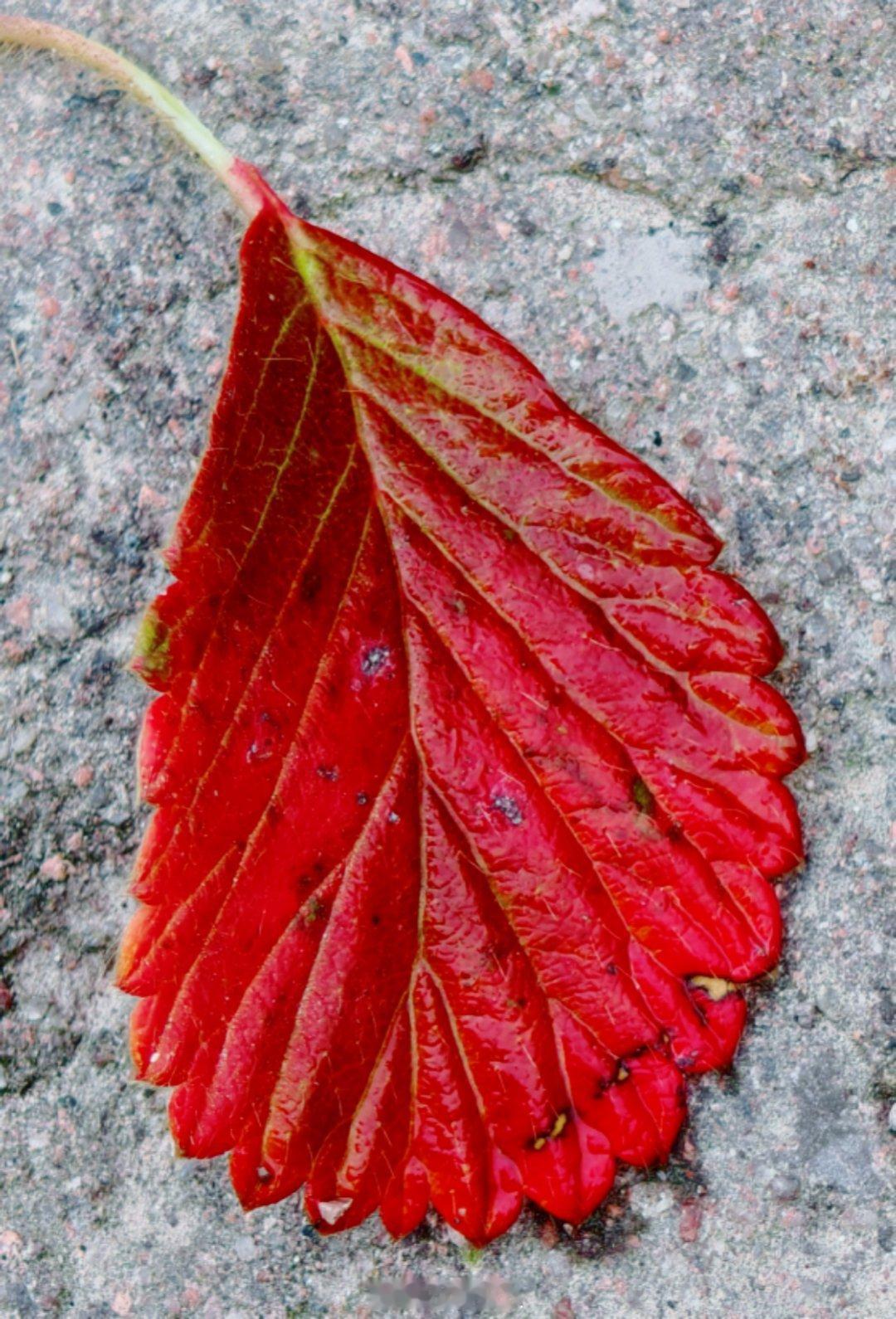 2025年最后3天2025年只剩下最后三天了。这一年，晒过晴空万里的太阳，也沐过