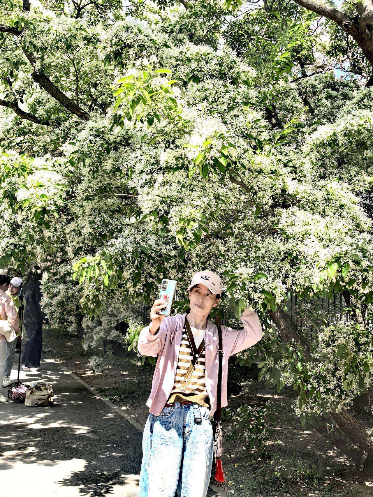 太美了，太亮眼了？这是老伴观赏之后的由衷赞美。
明天是农历三月十三，这天是老伴5