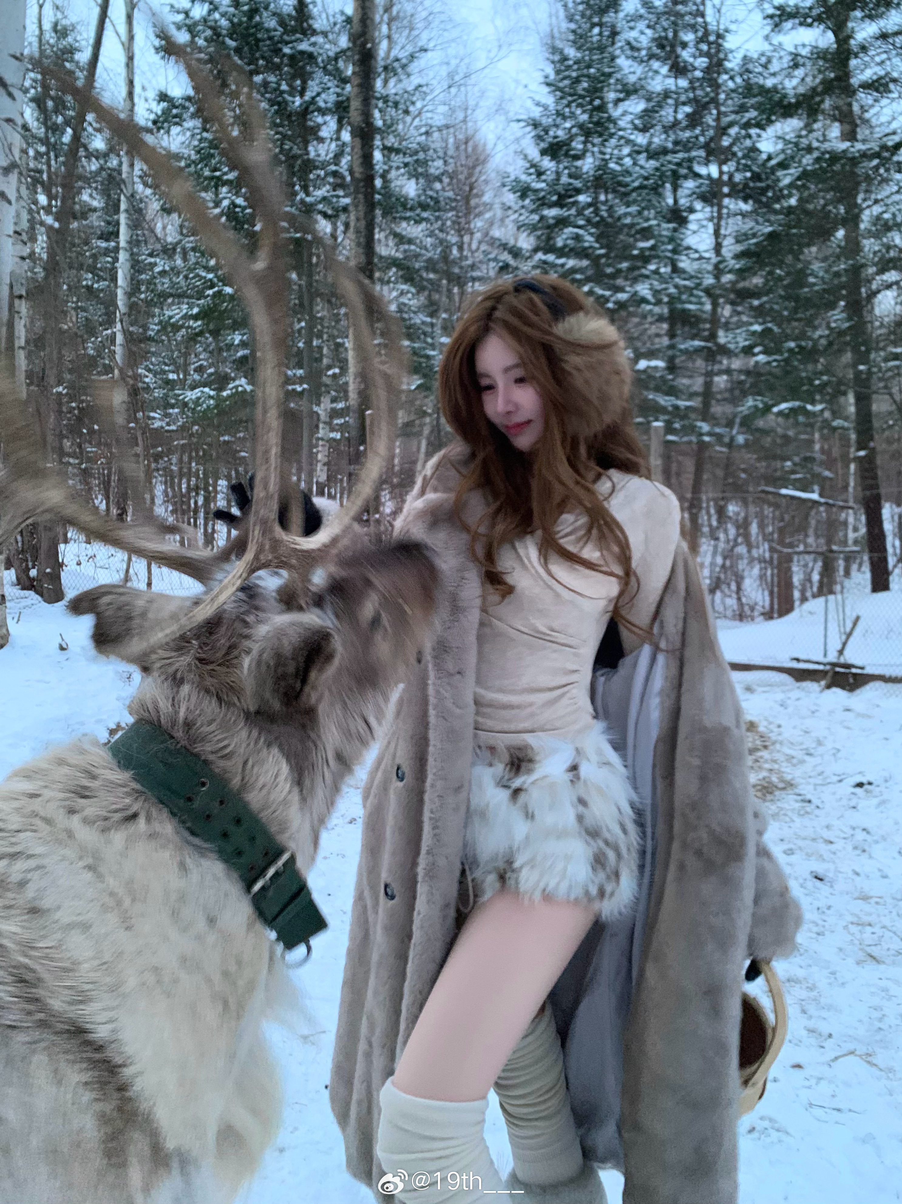 林深时见鹿🦌 白山