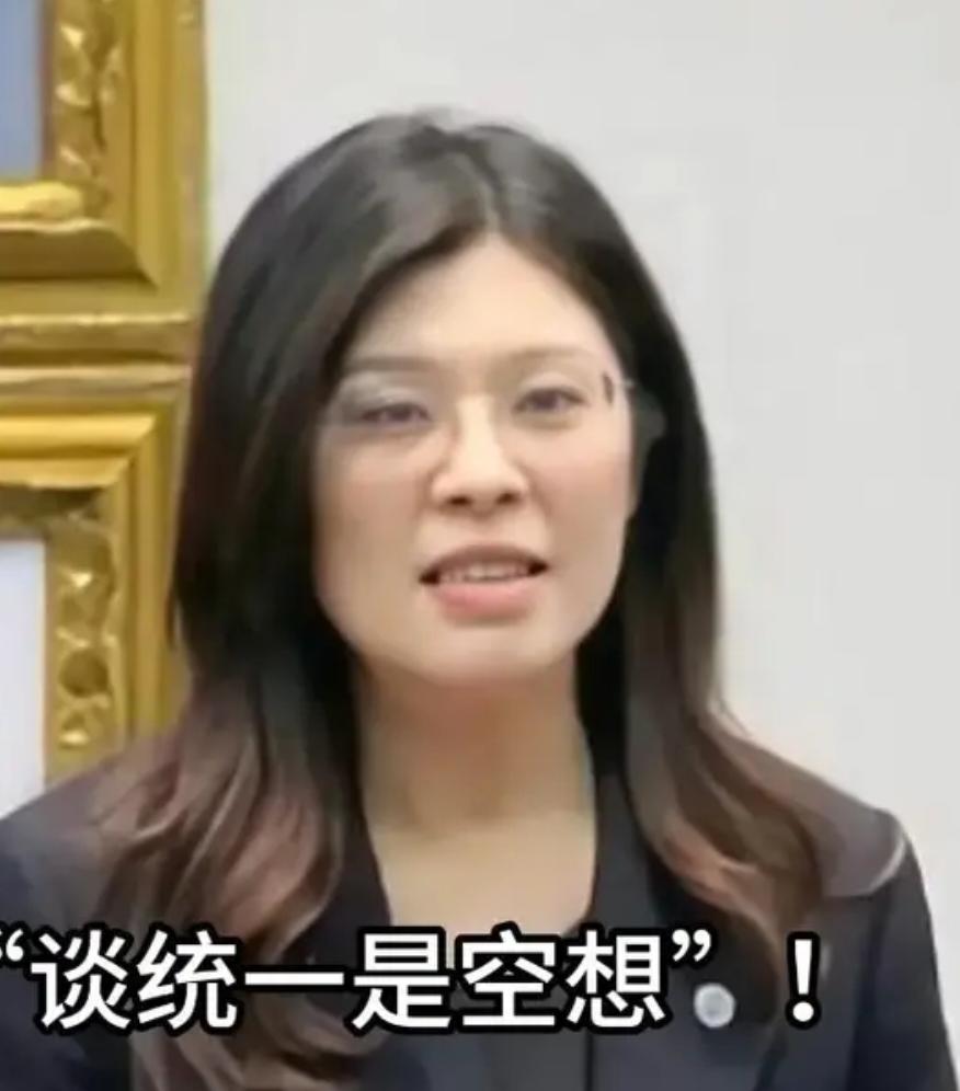郑丽文6月23日说出一番让大陆网友目瞪口呆的话，她竟然声称，“谈统一是不切实际的