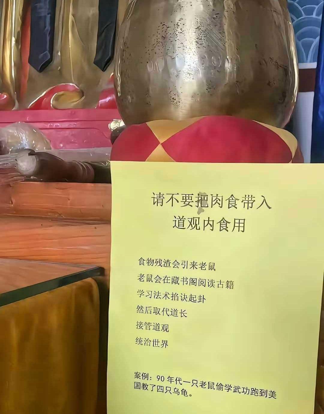 90年代一只老鼠偷学武功跑到美国教了四只乌龟鼠道士 放生道观 老外偷师学艺 果然