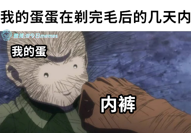 杨梅（9gag）今日meme 今日memes