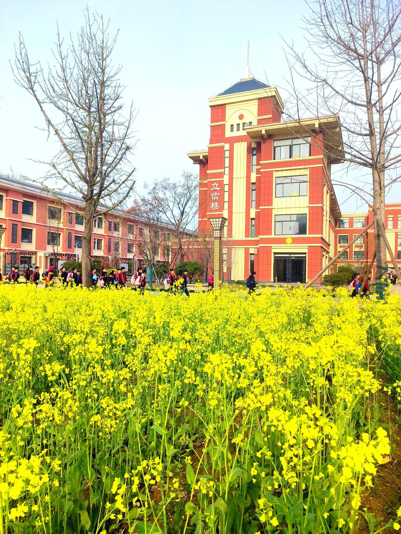 是该表扬还是批评这样的老师呢？

学生上室外课，有的老师把没有完成作业的学生留在