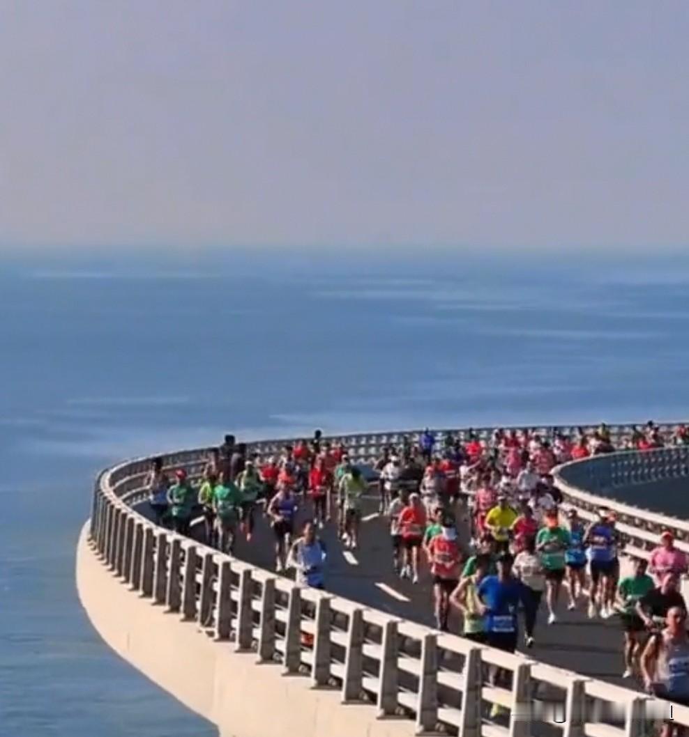 星光聚青马！2026青岛马拉松燃情开跑，15000美元大奖花落谁家？
2026青