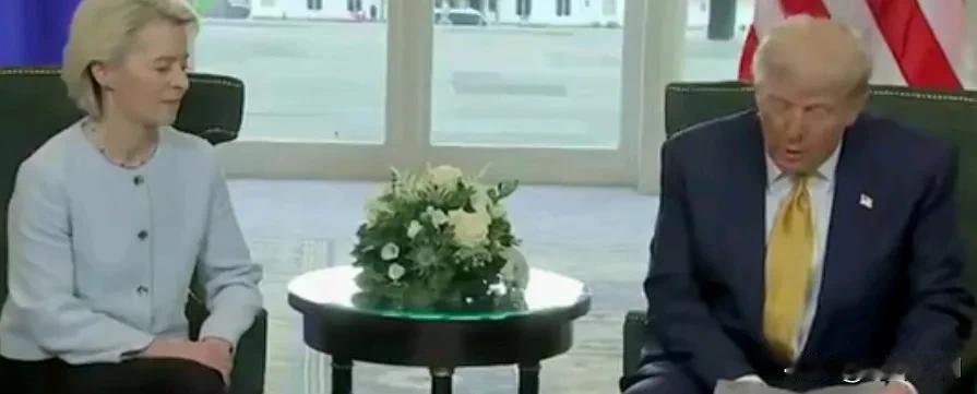 我们与欧盟签署了贸易协议，——美国总统唐纳德·特朗普表示。
🔹欧盟同意从美国购