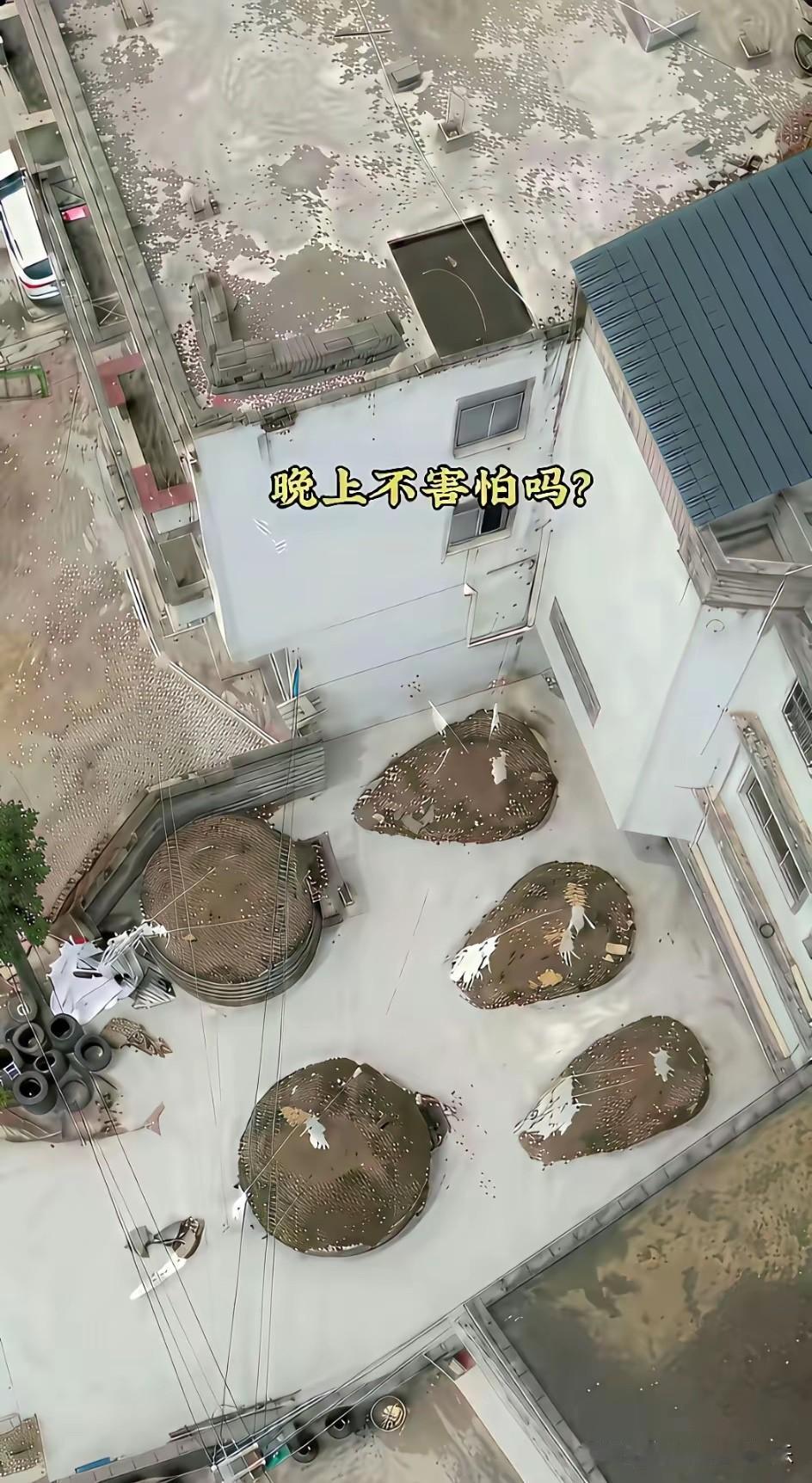 终于知道，国家为什么推行火葬，而不是土葬了！[捂脸][捂脸][捂脸]