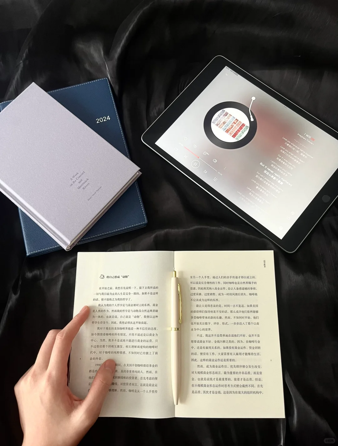 活了26年才意识到真正意义上的「浪费时间」。