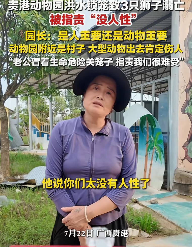 这次必须支持动物园！广西贵港洪水锁笼致3只狮子溺亡，事情发生后遭到不少键盘侠网暴