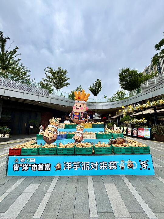 洋芋国的子民🥔快来参加洋芋party吧‼️