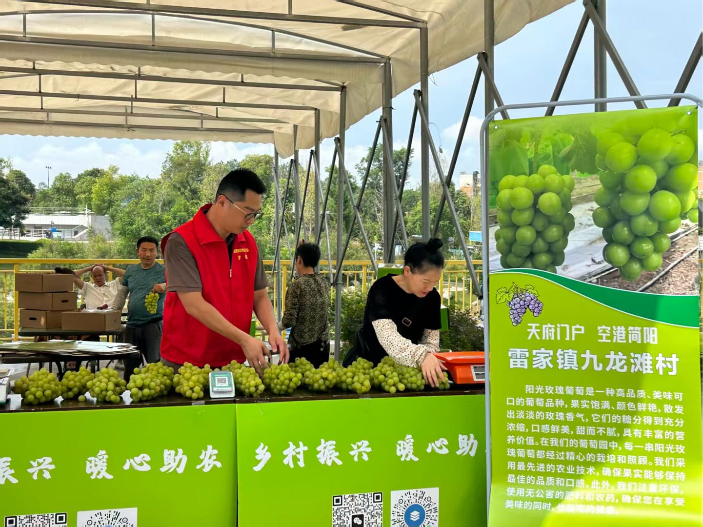 七一特别策划·驻村日记丨罗玺：帮18岁女孩挺直脊背，助700余户村民鼓起腰包