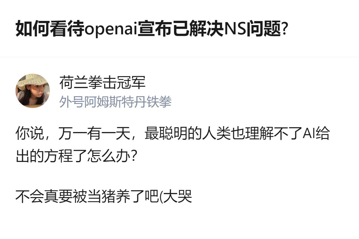 从现有信息看，针对OpenAI宣布解决NS问题的讨论里，有用户提出了“最聪明的人