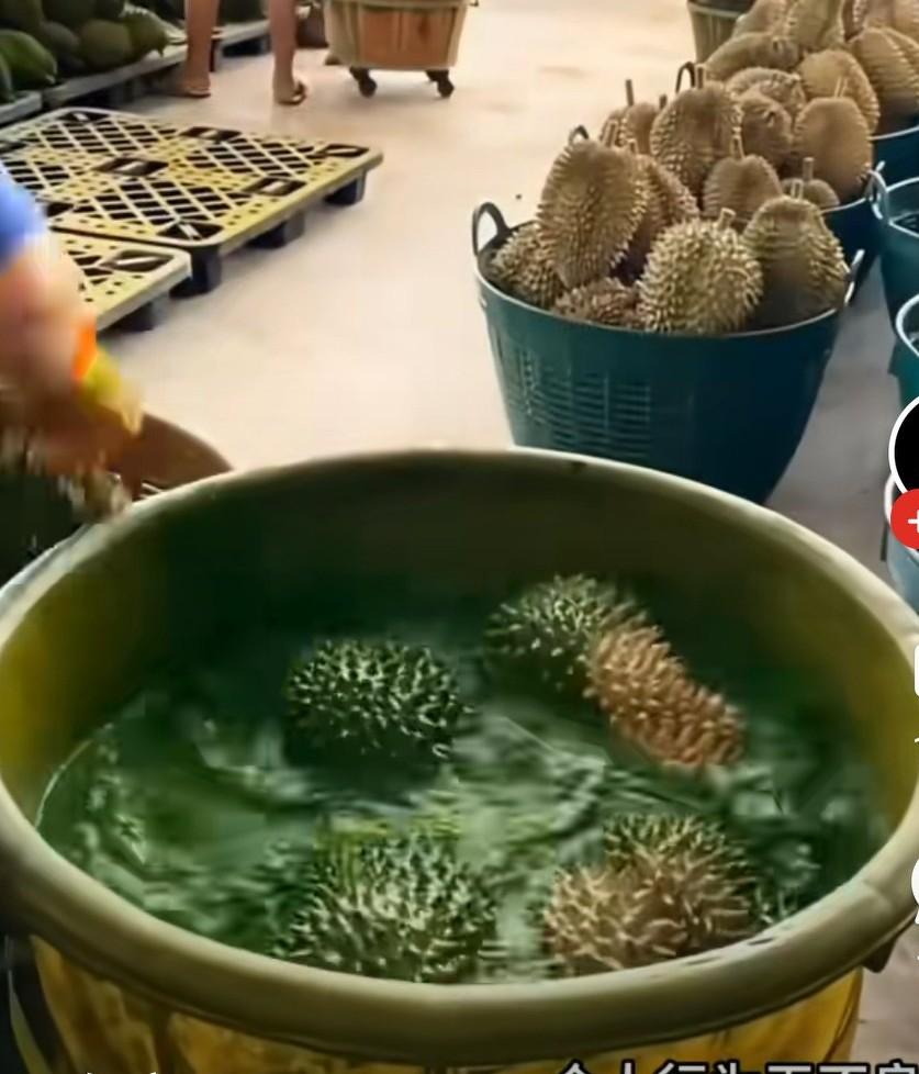 网友晒榴莲加工一幕，只见女子把榴莲放到满是黄色药水的池子里，
一会拿出来就是黄色