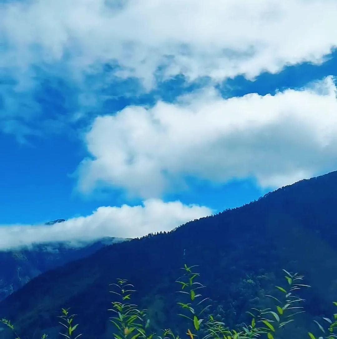 河南文旅冬天放大招了！近百家4A+景区免票或半价！凭云台山门票，7天内去神农山等