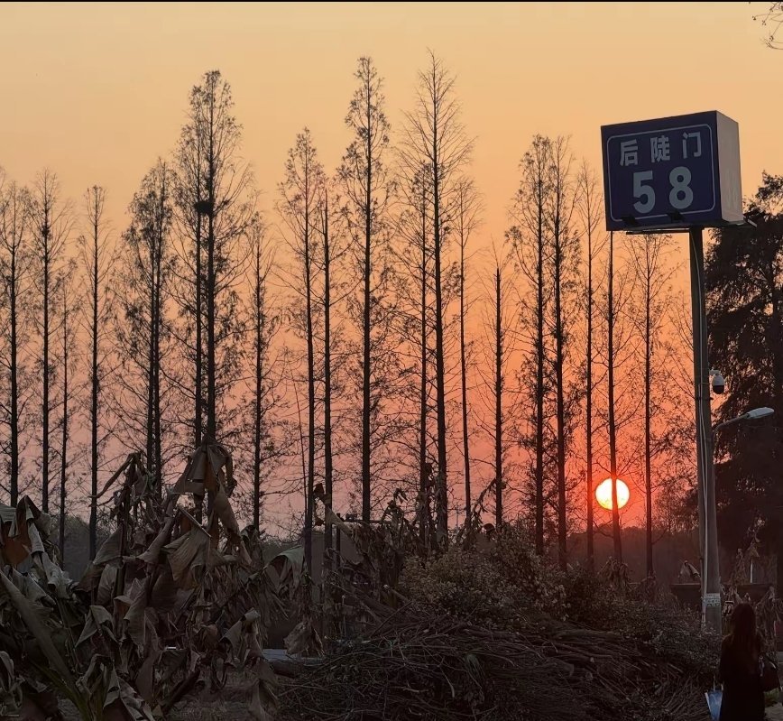 我最怀念某年，空气新鲜，心怀所愿，一整个夏天