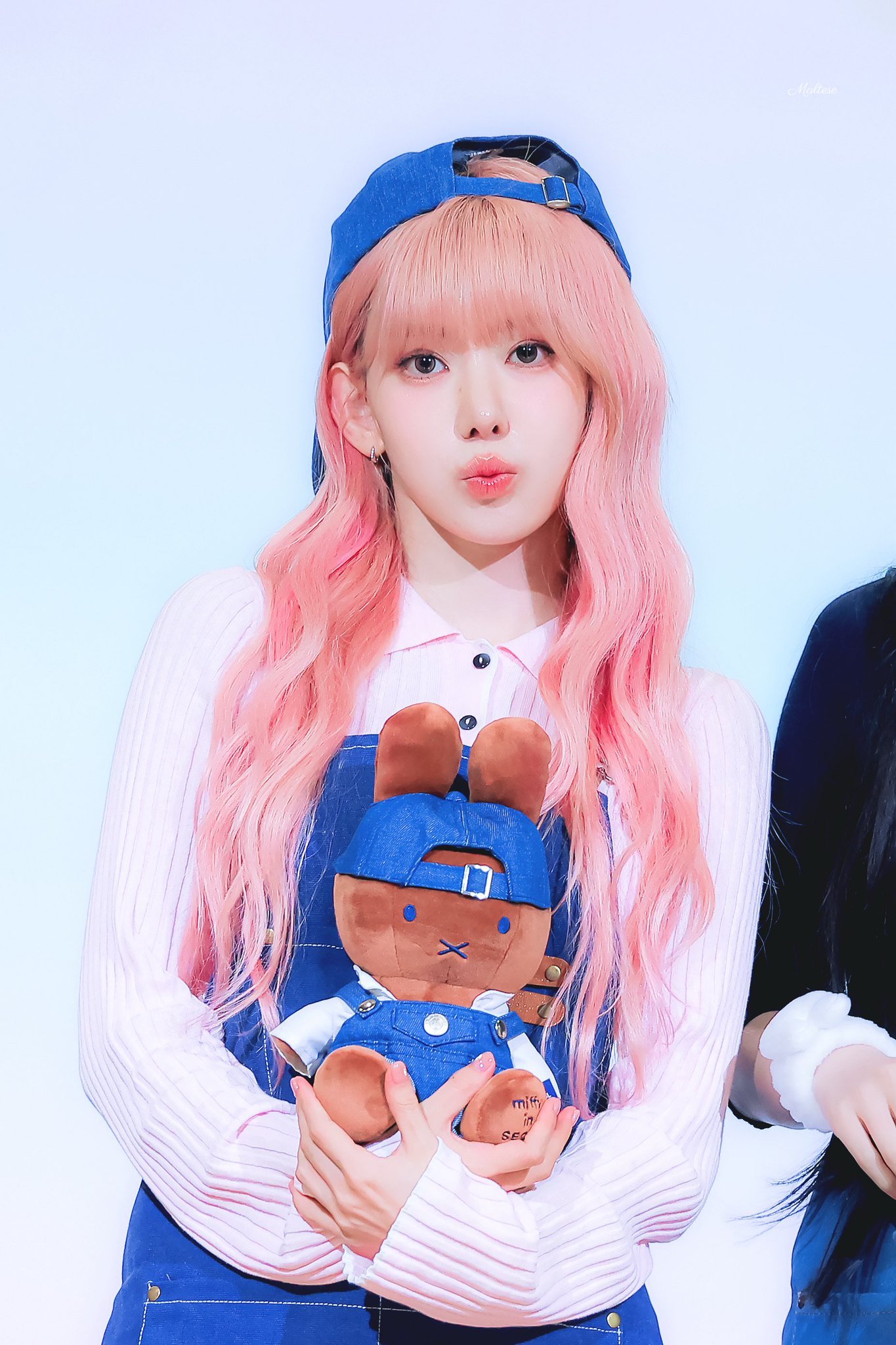 SAKURA🌸 