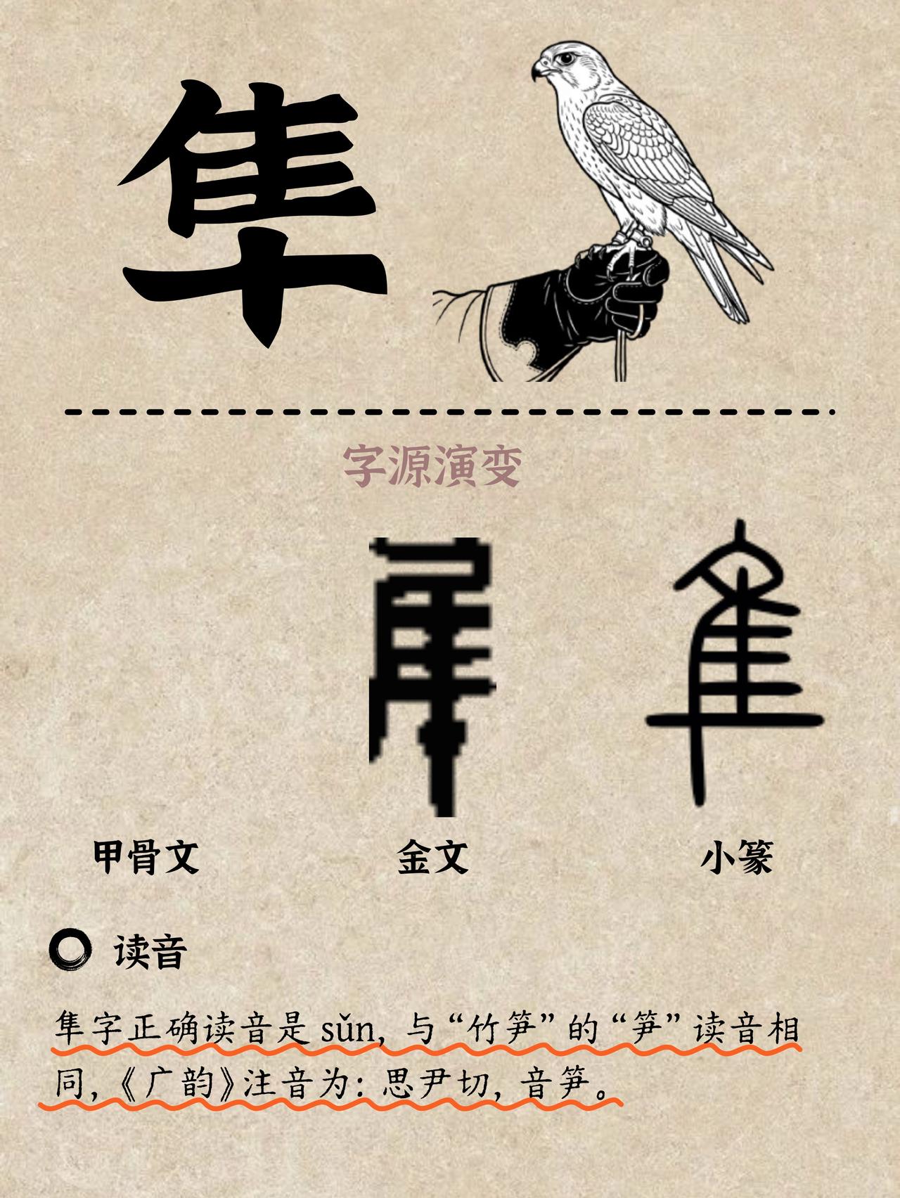 “隼”（sǔn）字，上面是“隹”（zhuī），下面是“十”。“隹”在古代是短尾鸟