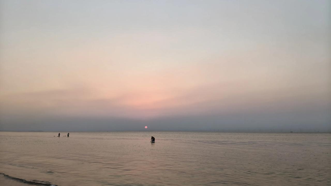 秋日生活打卡季秋日，龙口的海，龙口的海景房，清新清爽，感觉美美哒[耶]