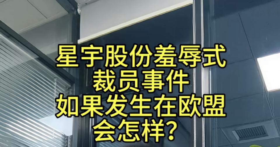 如果星宇事件发生在欧盟会怎样？会不会和在别的国家一样？员工会垮国举报？星宇裁应届