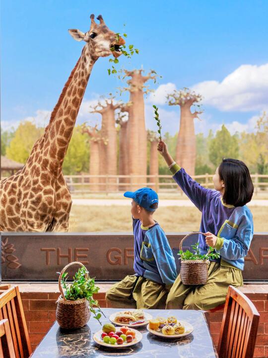 比起北京野生动物园，我更喜欢这里……