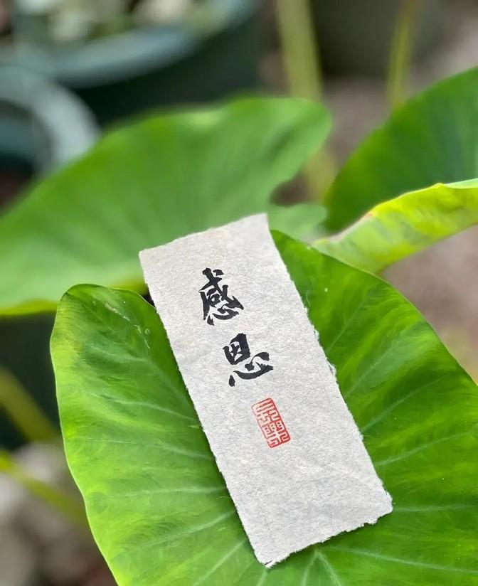 渡人无数的10句话，读懂了后半生越来越顺：1、老天爷不给
第一、老天爷不给的，咱