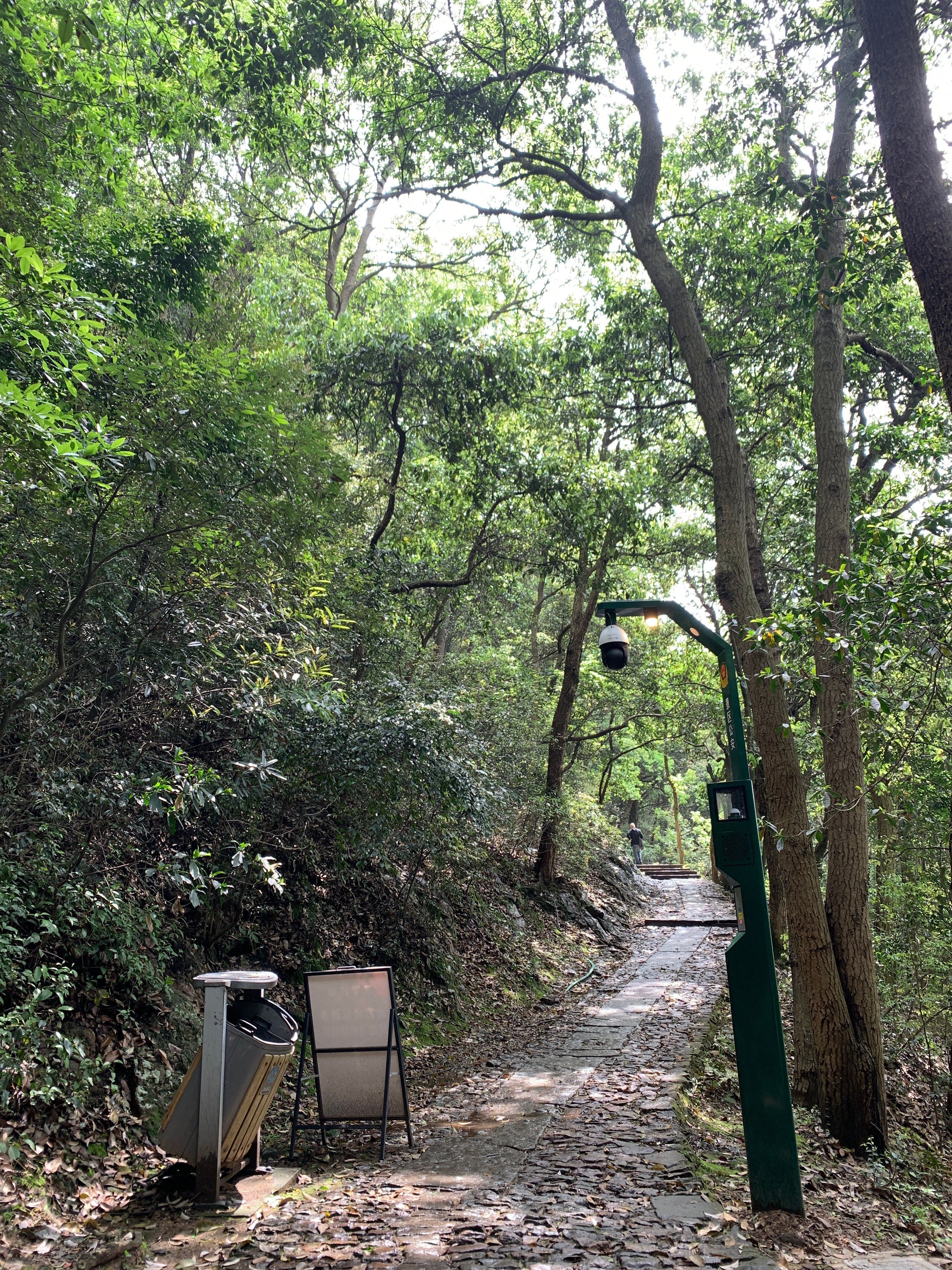 今天十点上新！你们都买了吗 晚上还有直播哦 我八点就起来爬山去了对比去年 体力好